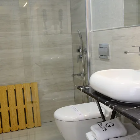 Gardenya ホテル 3*