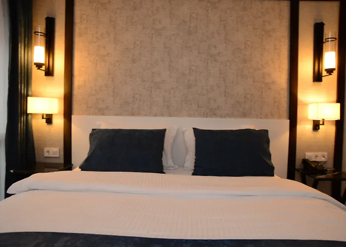 Gardenya ホテル 3*